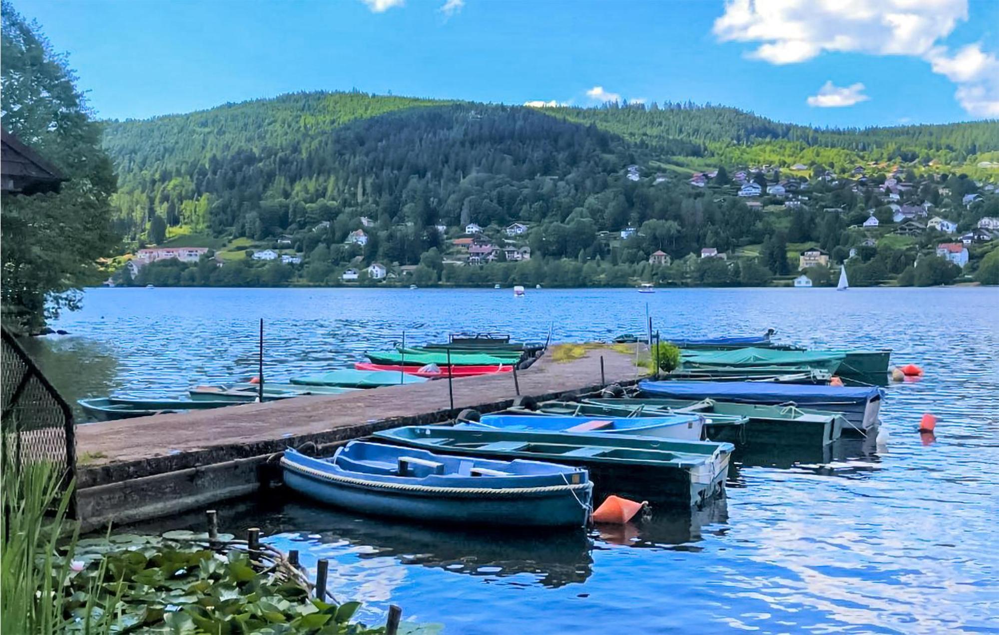 Gorgeous Apartment In Gerardmer With Kitchen المظهر الخارجي الصورة