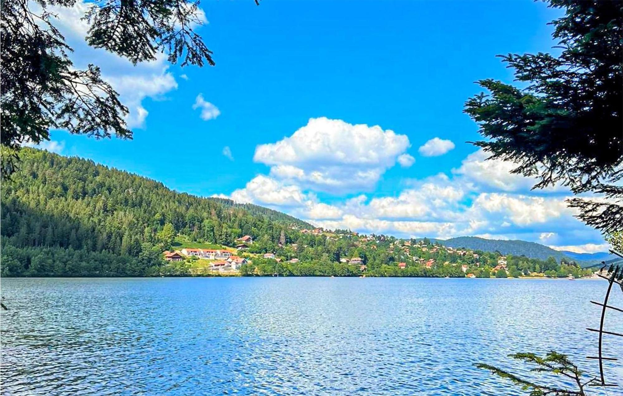 Gorgeous Apartment In Gerardmer With Kitchen المظهر الخارجي الصورة
